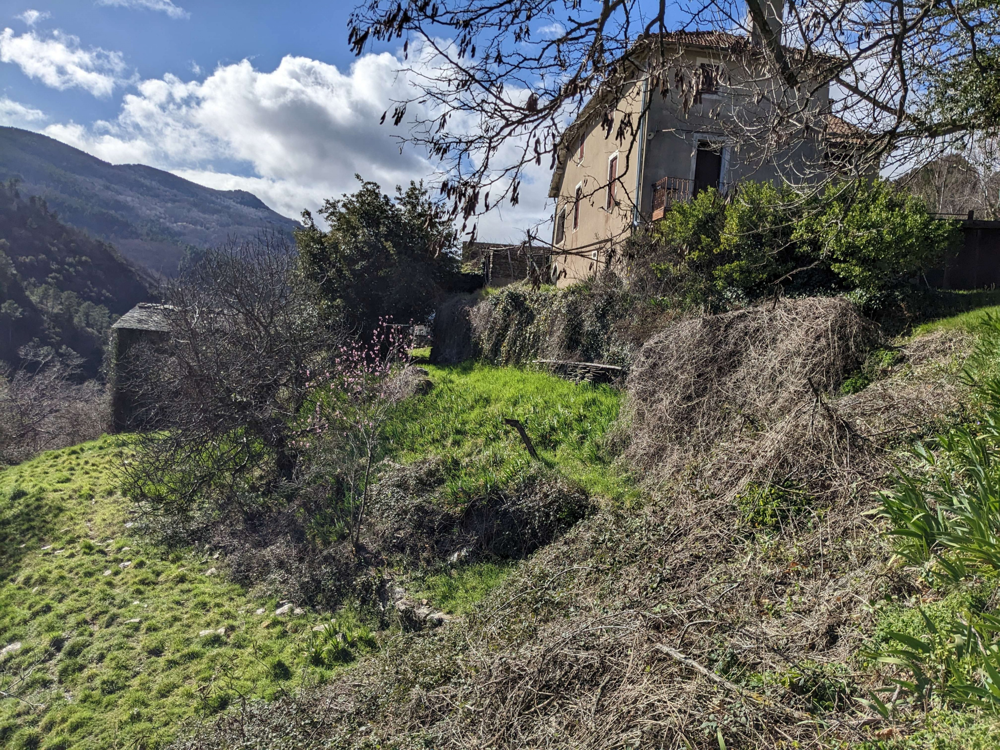 Agence immobilière de Pierres des Cevennes